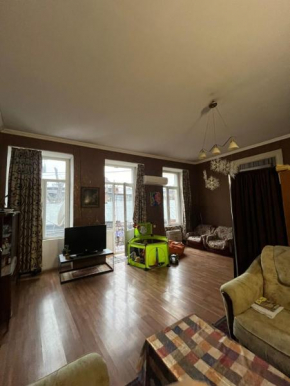 High-Ceiling Apartment in Niko Pirosmani Museum Building, near Fabrika
